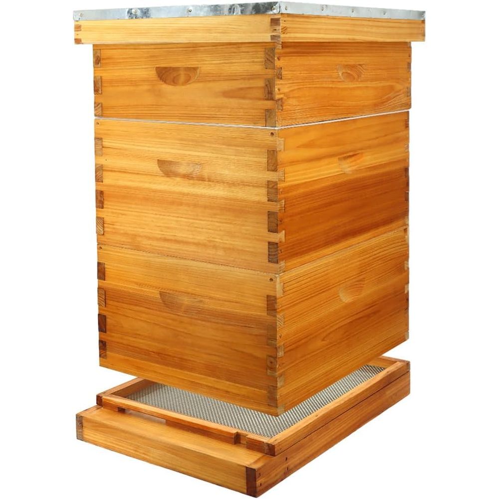 طقم خلية نحل بـ 10 إطارات مع ق - مراجعة Beehive Frame Wax وسعره